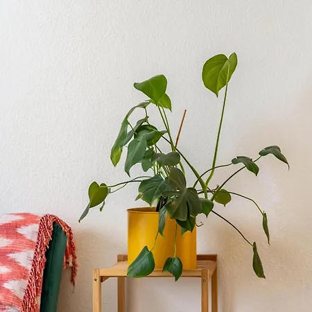 アパート Next ドゥイスブルグ