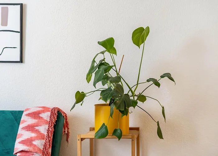 Apartament Next Duisburg